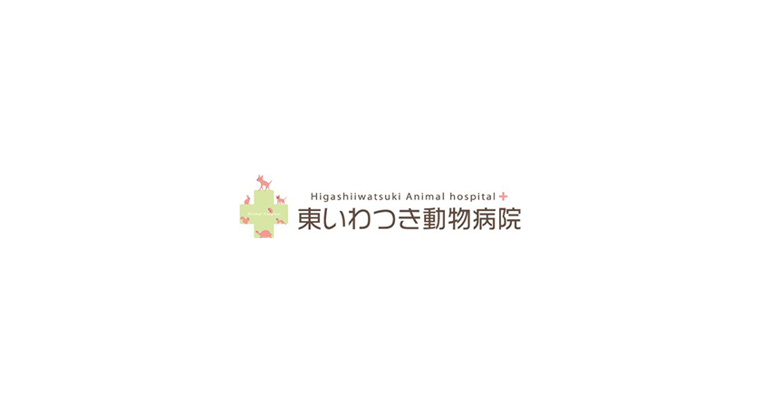 うさぎの避妊手術をさいたま市周辺でお考えの方へ その他 院長ブログ さいたま市にある当動物病院で犬 ネコの避妊手術 去勢手術