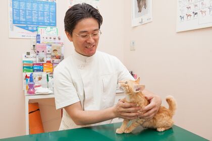 s-院長と猫